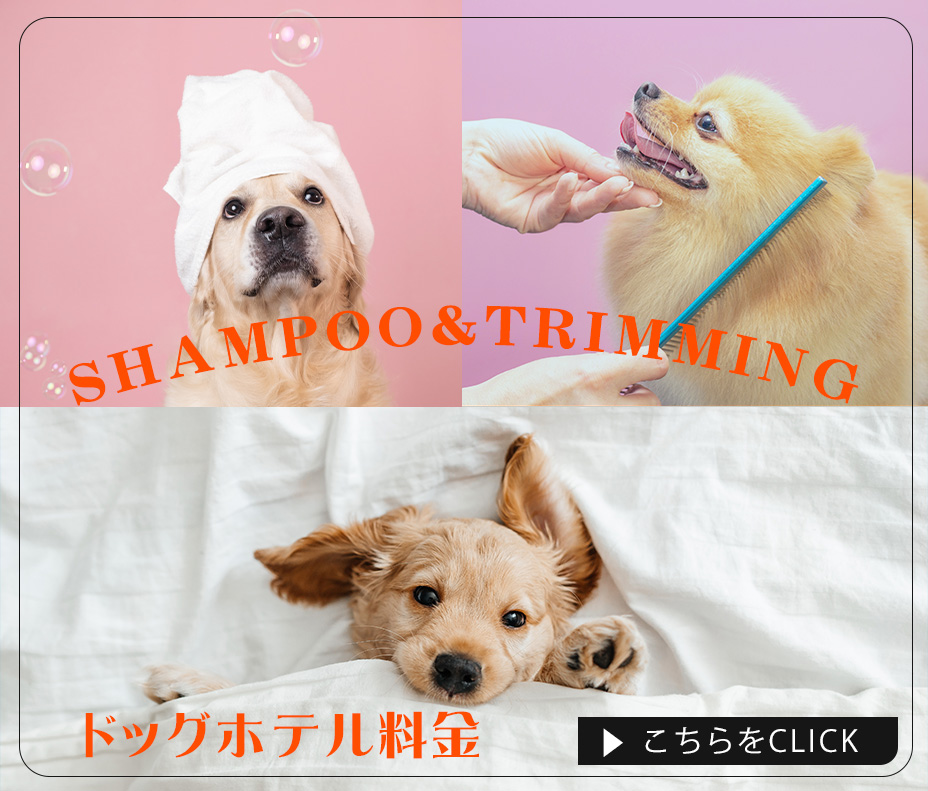 トリミング・シャンプー・犬のホテル料金表のバナー画像